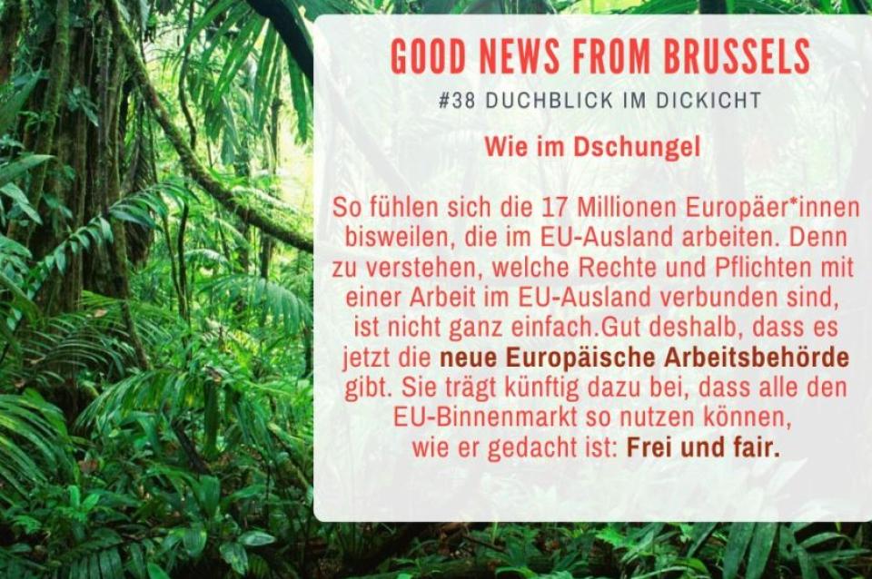 Good News from Brussels #38