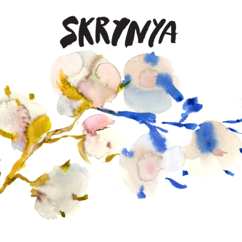 skrynya cover